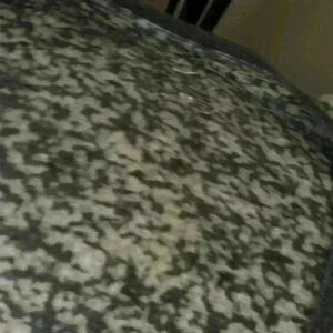 Ladies NIKE. Cubs tee v neck and capped sleeves